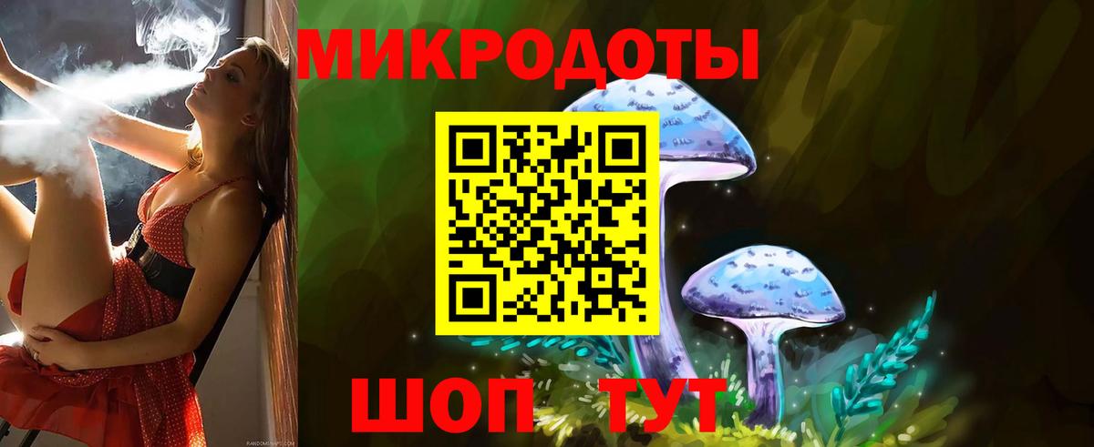 Майкоп  Галлюциногенные грибы прущие грибы  Вход с VPN 